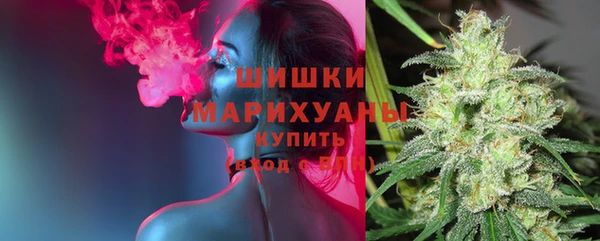 дживик Новокубанск