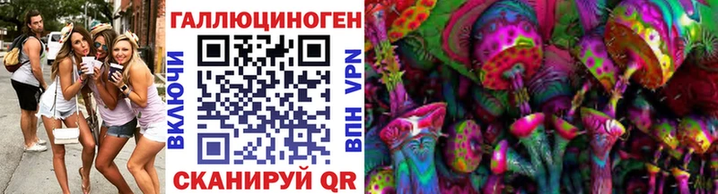 OMG вход  Белёв  Галлюциногенные грибы Psilocybine cubensis 